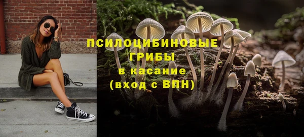 гидра Баксан