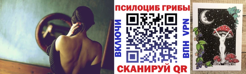 hydra как зайти  Калининец  Псилоцибиновые грибы Cubensis 