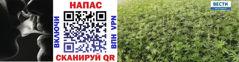 закладки  Калининец  Бошки Шишки планчик 